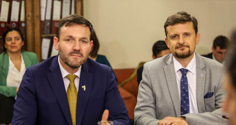 Diputados acusan que casi un 75% de empresas y organismos públicos incumple Ley de Inclusión Laboral