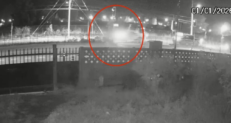 Formalizarán a militar que atropelló y causó lesiones graves a estudiante en Angol