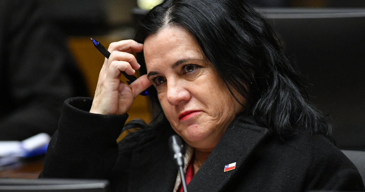 Ministra Trinidad Steinert dice que no esperaba que le exigieran un plan de seguridad formal