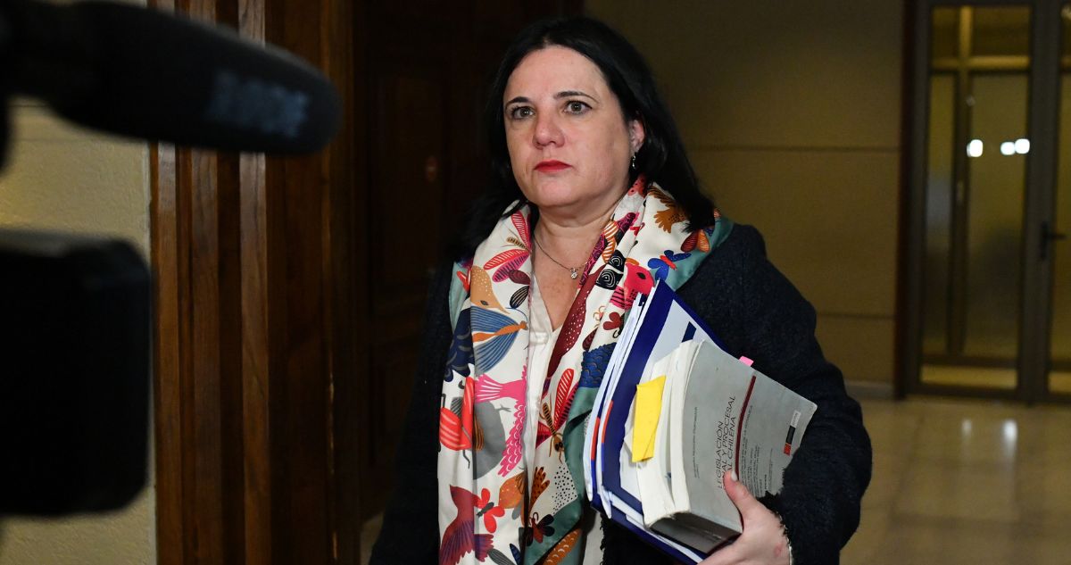“Se está formalizando”: Steinert se defiende y dice que plan de seguridad fue presentado al Congreso