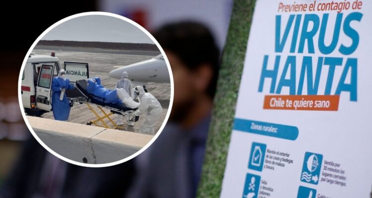 Minsal dice que contagios de hantavirus en crucero no se habrían originado en Chile
