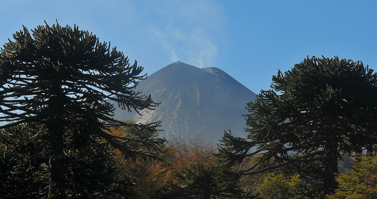Mujer cae a grieta mientras escalaba el volcán Llaima en La Araucanía: despliegan rescate aéreo