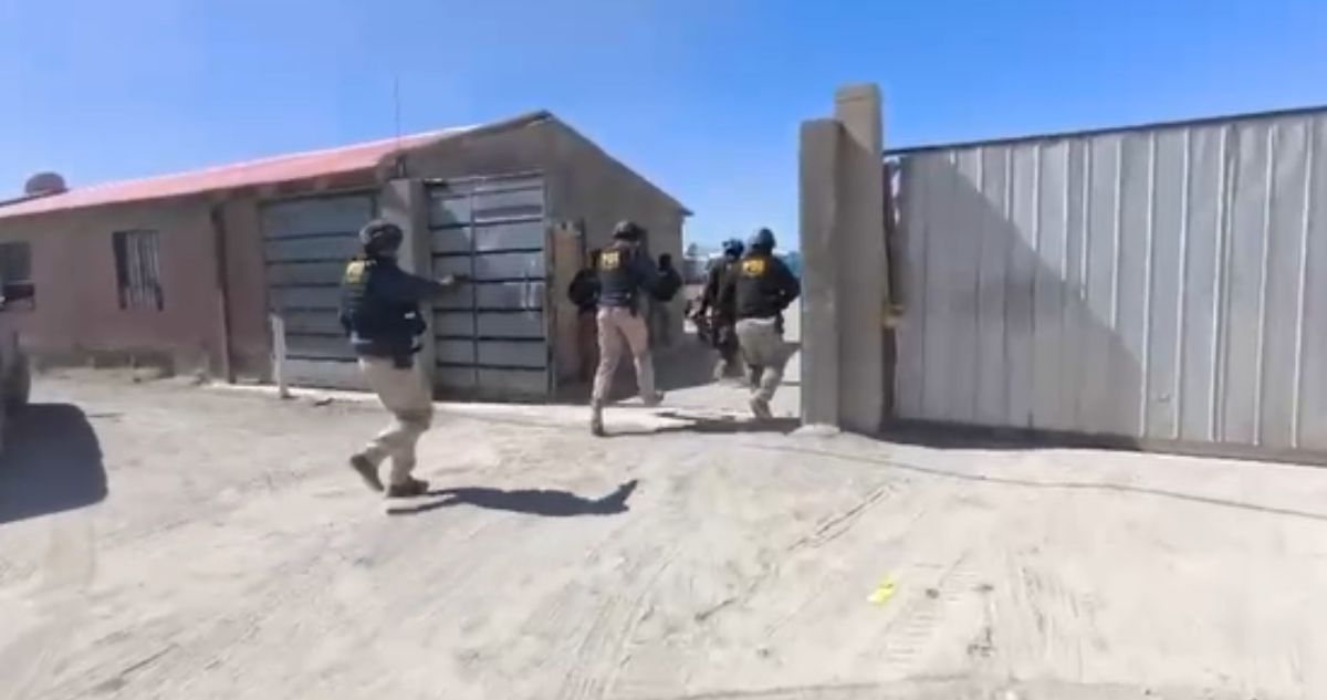 Casi 100 kilos de droga incautada y 12 detenidos deja operativo de la PDI con el Ejército en Iquique