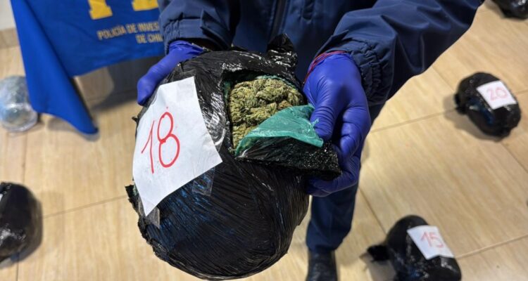 Operativo incautación de marihuana en Los Ángeles