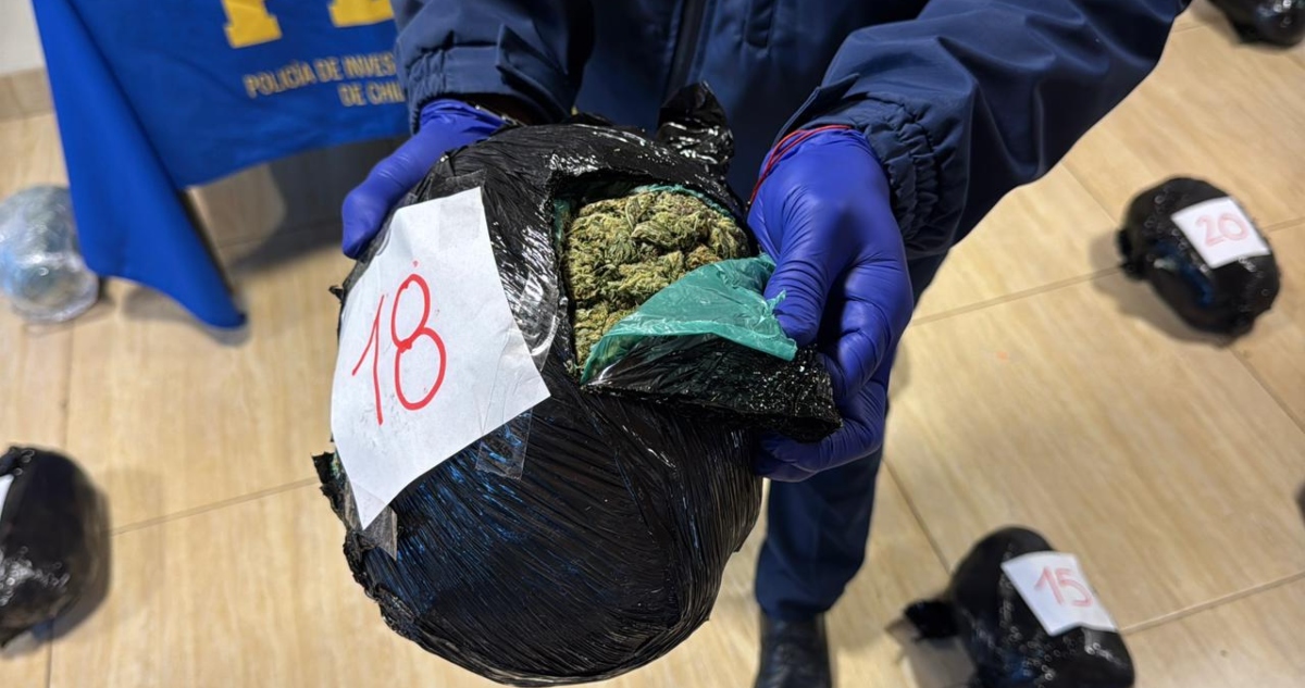 Operativo incautación de marihuana en Los Ángeles