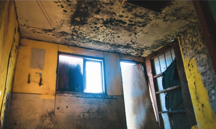Estado de las viviendas construidas sobre relleno de humedal en población San Pedro, en Valdivia. 