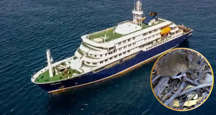 Pareja fallecida en el MV Hondius pasó por Chile
