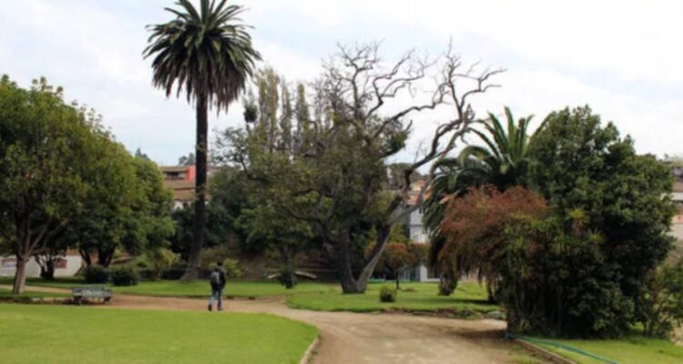 Parque Pumpin | Parquepumpin.cl