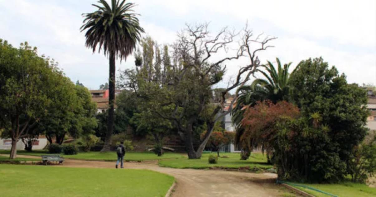 Parque Pumpin | Parquepumpin.cl