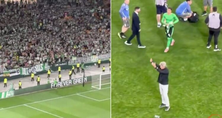 Pellegrini Betis