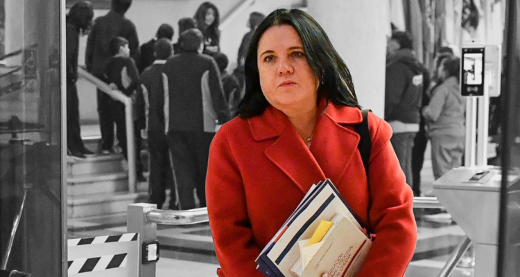 Persiste el “fuego amigo” a Steinert por resultados en Seguridad: Sedini defiende “agenda robusta”