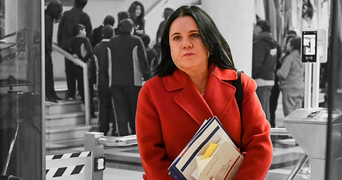 Persiste el “fuego amigo” a Steinert por resultados en Seguridad: Sedini defiende “agenda robusta”