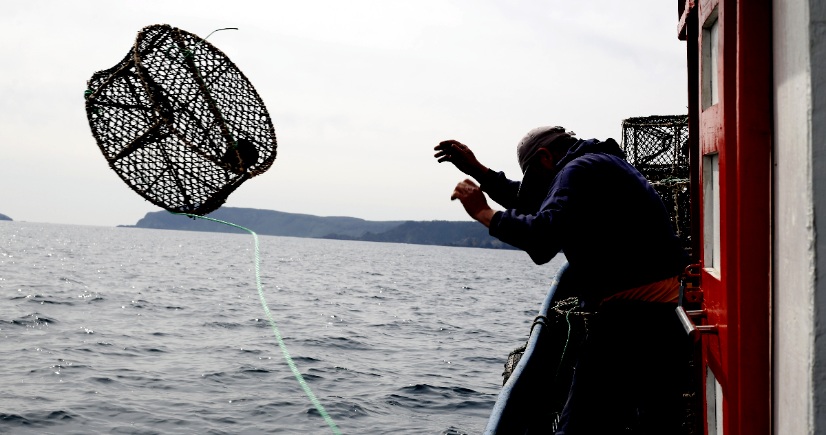 Gobierno anuncia bono-cupón de hasta $600 mil para que pescadores artesanales costeen los combustible