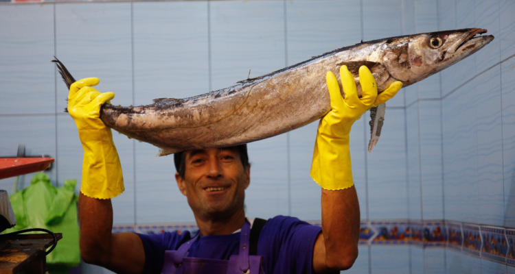 “Beneficio económico y social”: Planean política pública para que se consuman más productos del mar