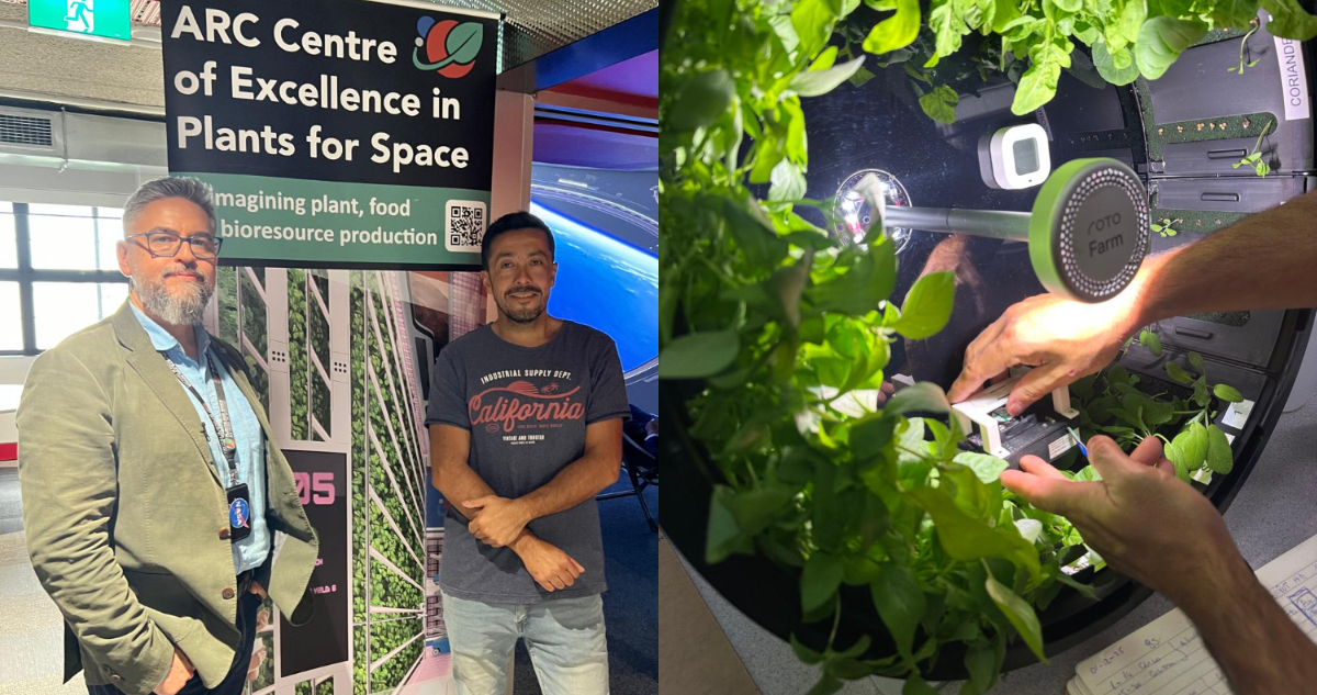 Fotos de los científicos que experimentan con plantas para que sobrevivan en el espacio