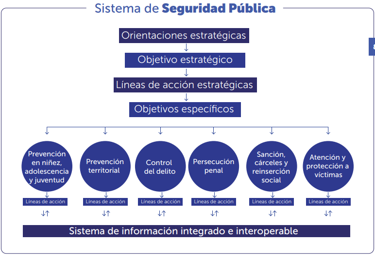 Política Nacional de Seguridad Pública