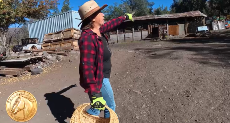 Vida en la cordillera: la historia de Ester Garrido en el Cajón del Maipo