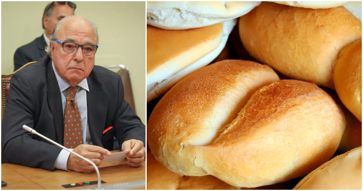 Diputado René Manuel García advierte aumento del precio del pan por crisis de agricultura