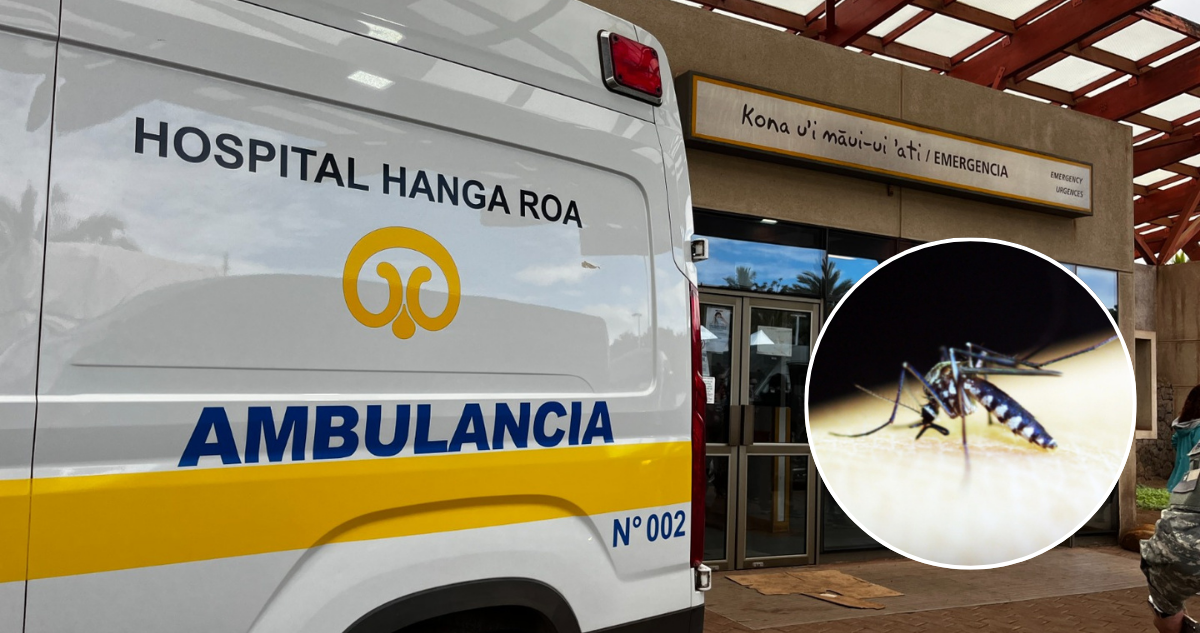 Al menos 24 personas han dado positivo a dengue en Rapa Nui: 22 serían casos autóctonos