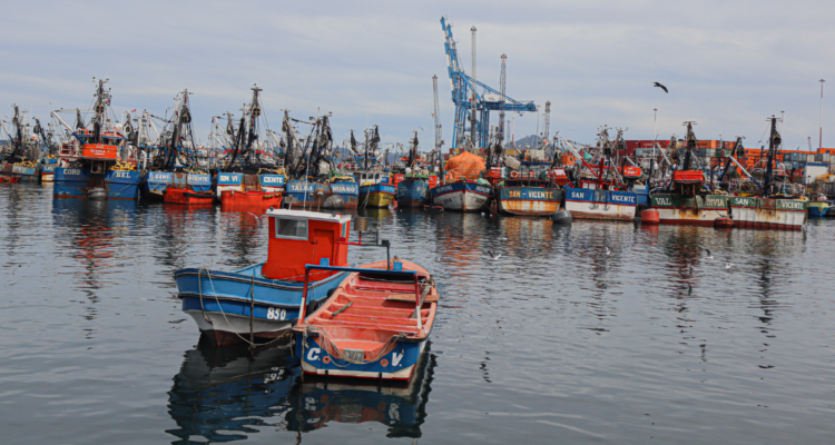 Pesca artesanal