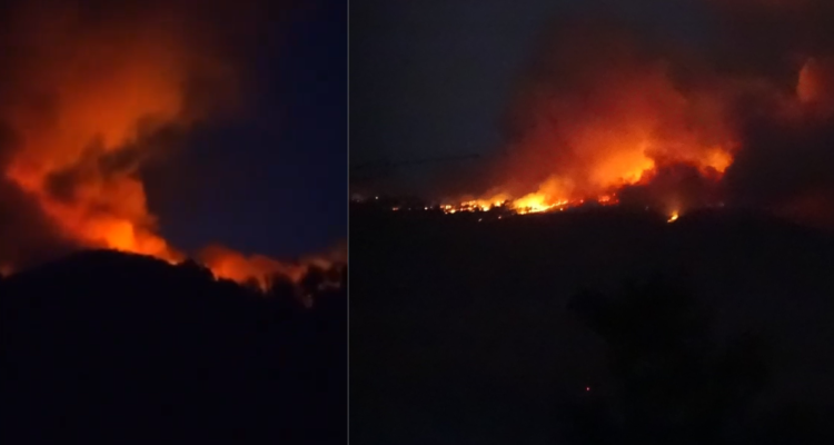 Al menos 20 familias evacuadas por incendio forestal que mantiene en Alerta Amarilla a Antuco