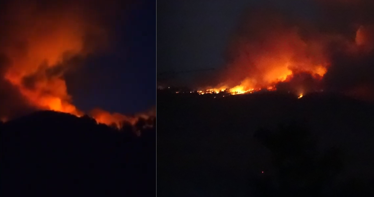 Al menos 20 familias evacuadas por incendio forestal que mantiene en Alerta Amarilla a Antuco
