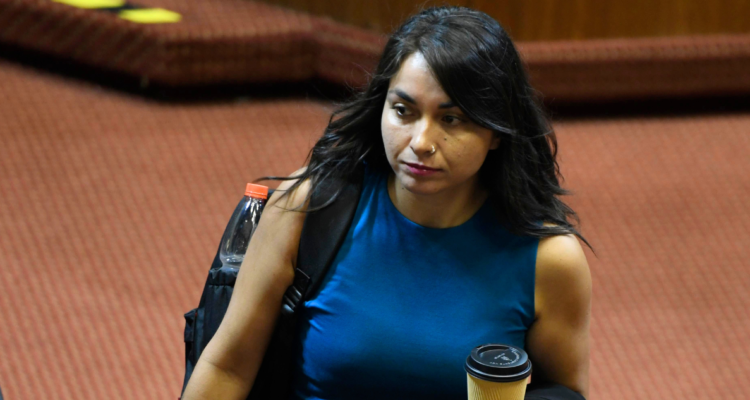 Schonhaut (FA) carga contra megarreforma y sugiere Sala Cuna Universal: “Proponemos empleo femenino”