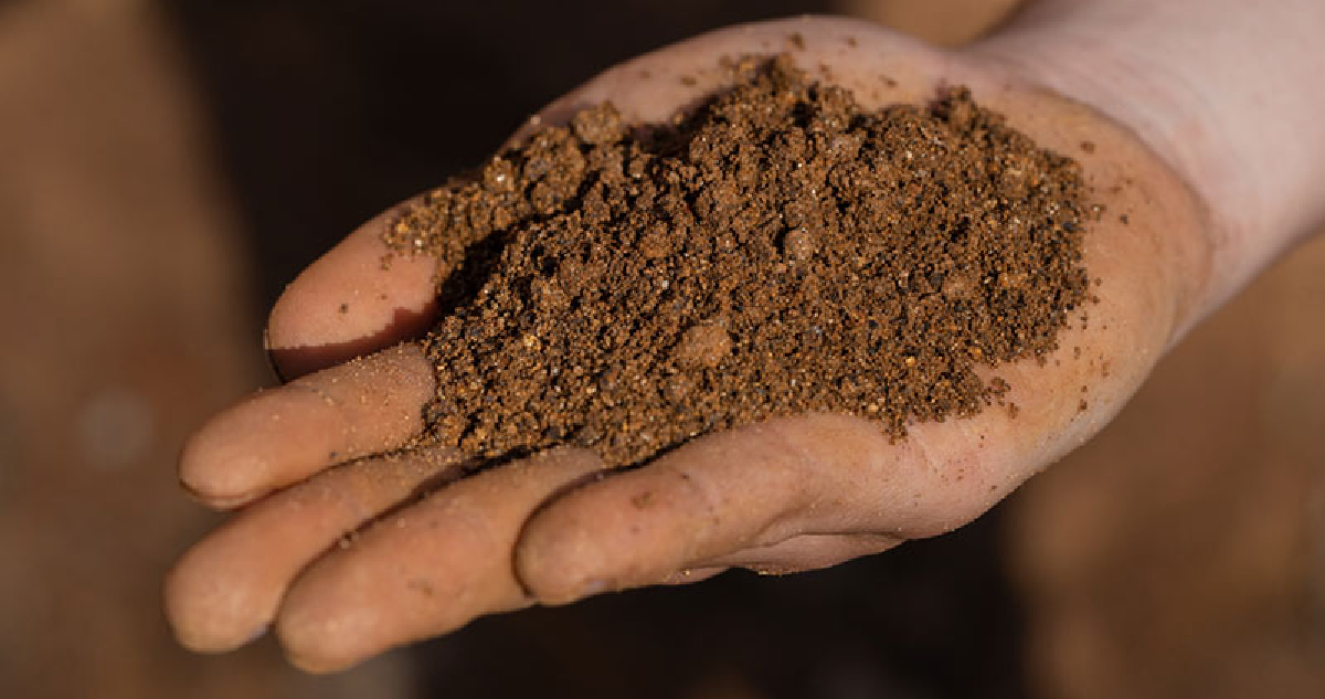 SEA recomienda aprobar proyecto de tierras raras de la minera Aclara en Penco