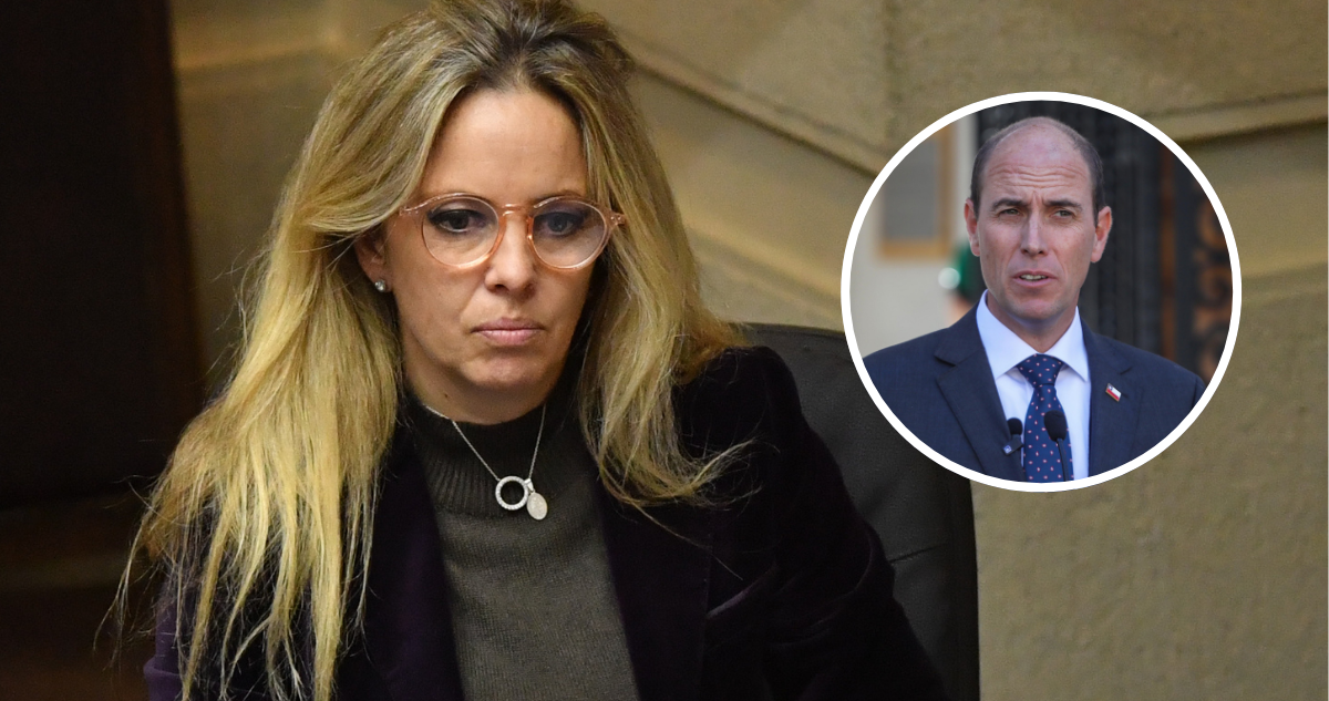 Senadora Kaiser “defiende” a Arrau: dice que por ser ingeniero no supo diferenciar Plan de Seguridad