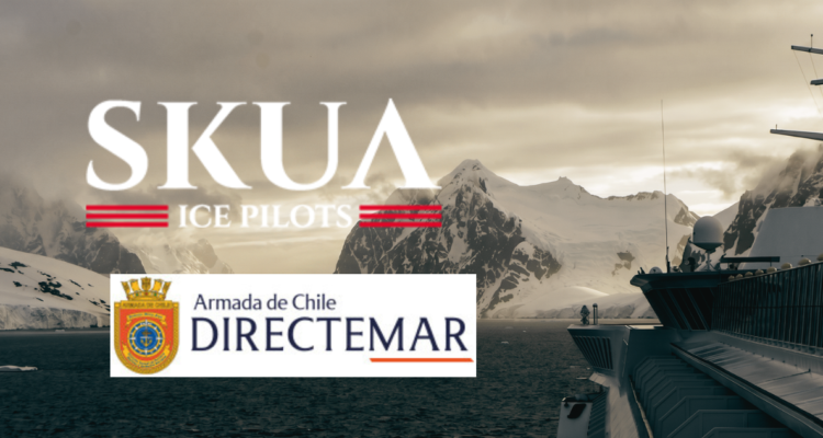 Permisos irregulares para operar en Antártica: las acusaciones a empresa de oficiales (r) de la Armada
