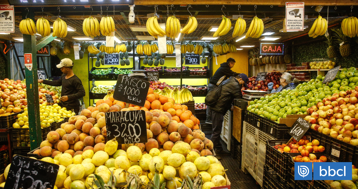 Senadores PS impulsan reforma para devolver IVA de alimentos y medicamentos a familias vulnerables