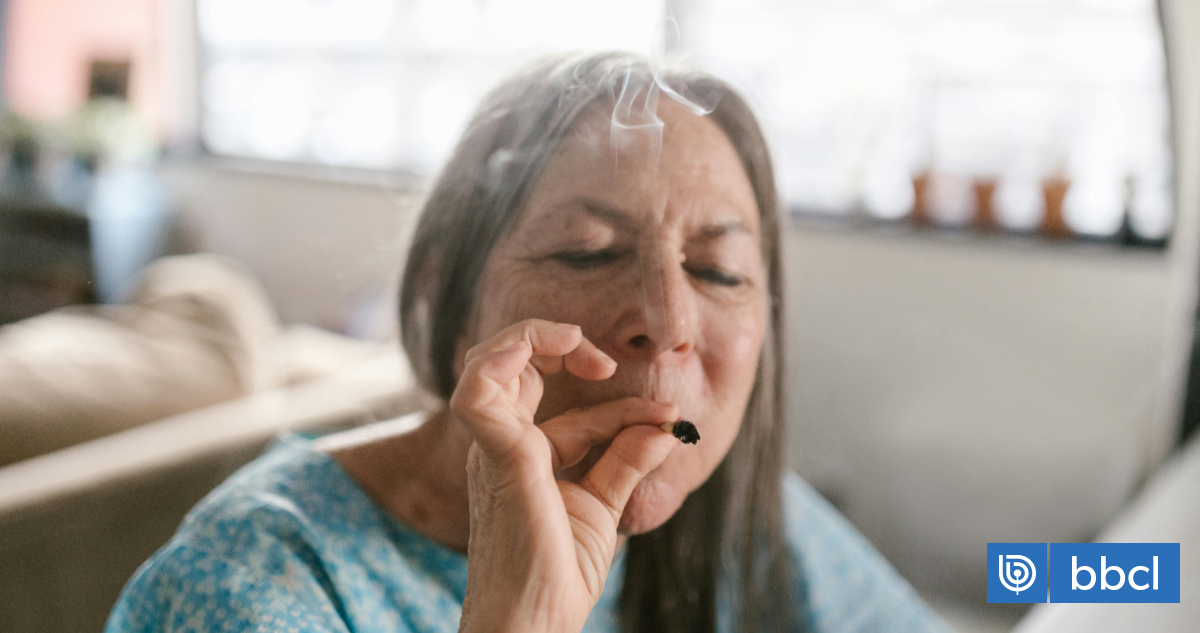 ¿Es seguro consumir cannabis en la vejez? Expertos revelan 5 advertencias para los adultos mayores