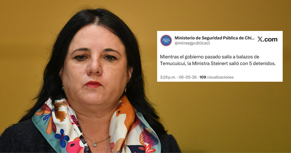 Steinert reconoce error en burlesca publicación de su ministerio por el operativo en Temucuicui