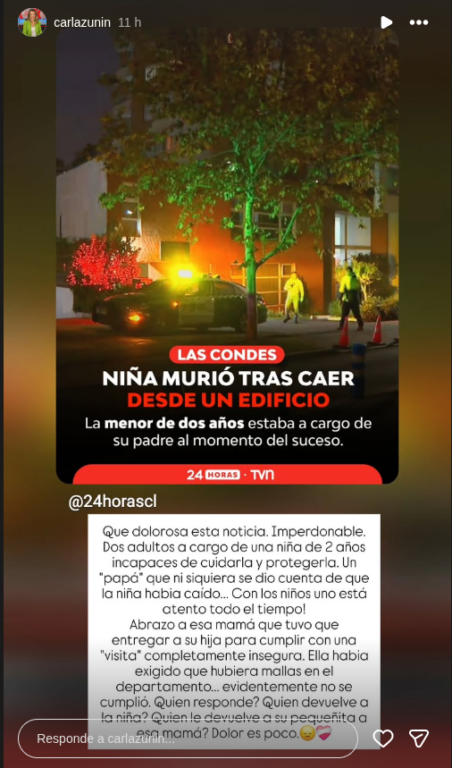 Captura de Instagram Storie de Carla Zunino 