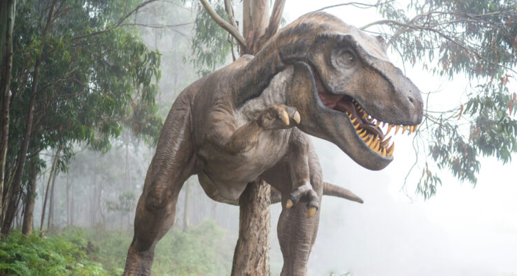 Imagen referencial de un tiranosaurio rex