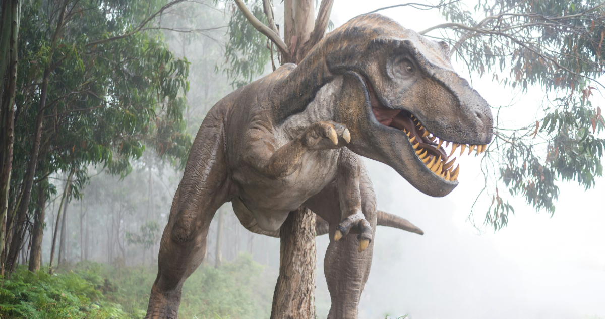Imagen referencial de un tiranosaurio rex