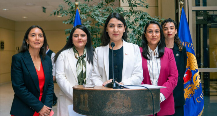 Presentan proyecto que busca evitar revictimización de víctimas por VIF y contacto con agresores
