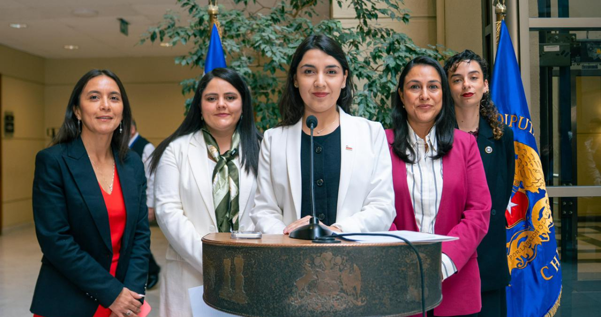 Presentan proyecto que busca evitar revictimización de víctimas por VIF y contacto con agresores
