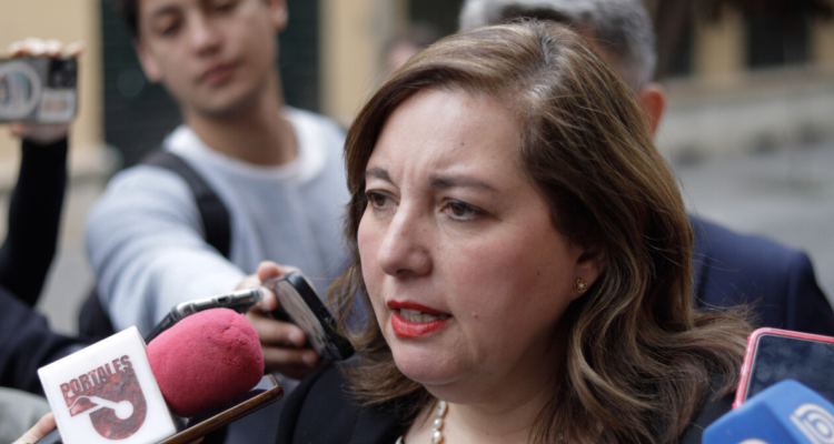 Vodanovic arremete contra Steinert por dichos sobre plan de seguridad: “Ya no estamos para retóricas”