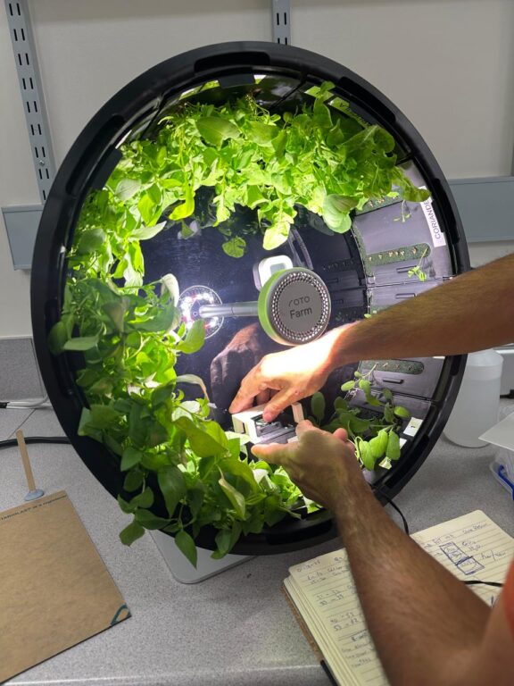 Plantas que podrían sobrevivir en el espacio