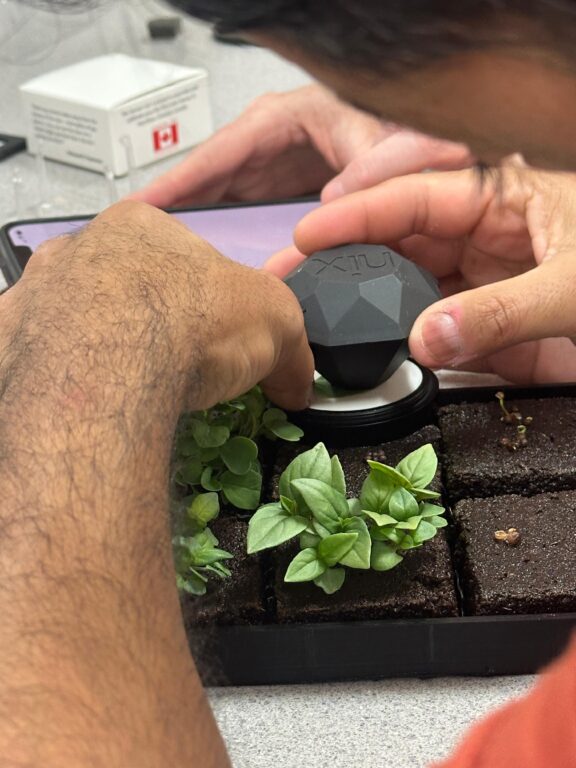 Fotos trabajando con plantas en el espacio
