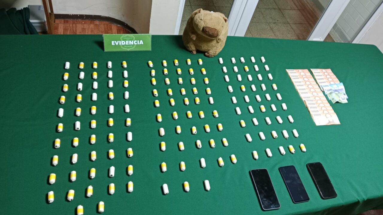 Perro del OS7 detecta capibara de peluche y a 2 mujeres con ovoides en su interior: 145 en total