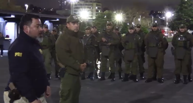 18 detenidos y 23 extranjeros denunciados deja operativo policial especial en región de Los Lagos