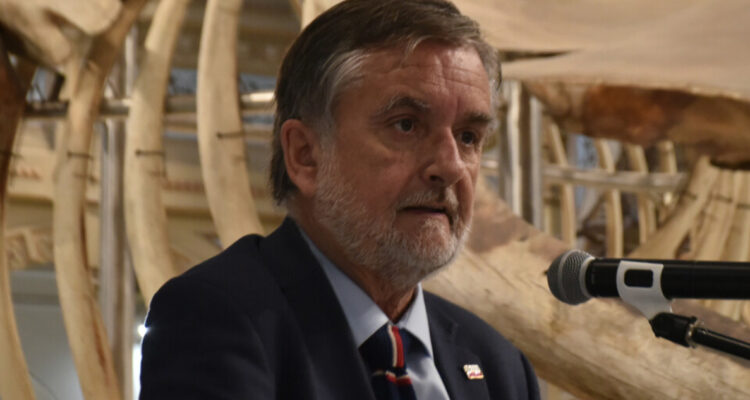 “Afectan exposiciones, no a los trabajadores”: Undurraga reacciona a polémica cancelación en MNBA