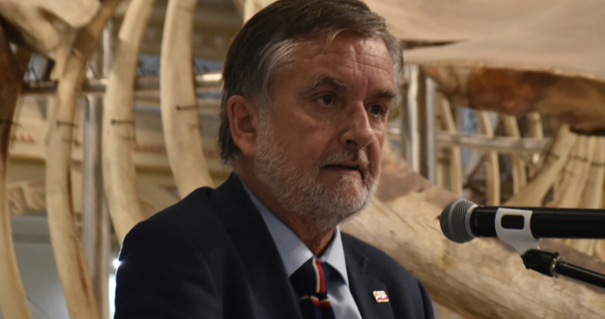 “Afectan exposiciones, no a los trabajadores”: Undurraga reacciona a polémica cancelación en MNBA