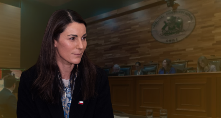 Arzola defiende proyecto Escuelas Protegidas tras revés en el TC: Pese a lo objetado, "es un avance"