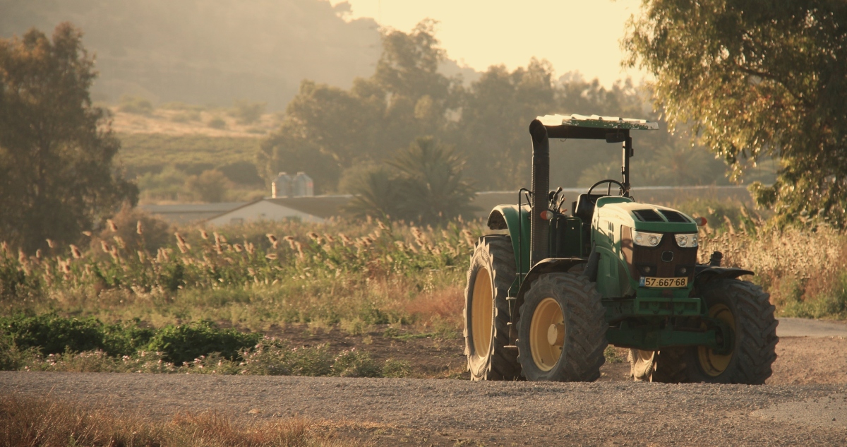 Prisión preventiva para agricultor de Maullín por millonaria estafa
