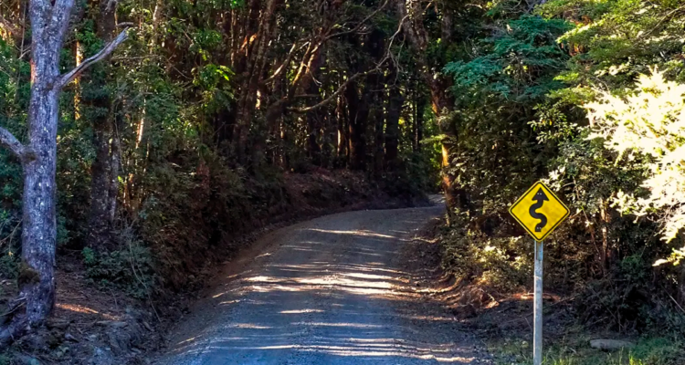 Pese a prohibición de intervenir: DPR busca conectar Corral y La Unión por Parque Alerce Costero