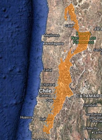 Alerta por vientos en el norte
