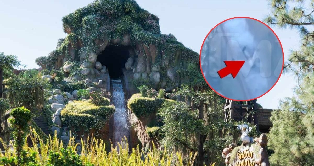 Horror en Disneyland: Video muestra caída de un niño de 13 años desde cascada de 15 metros